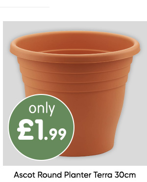Ascot Round Planter Terra 30cm