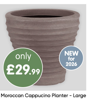 Moroccan Cappucino Planter - Large