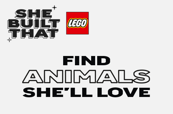 LEGO She Built That at B&M