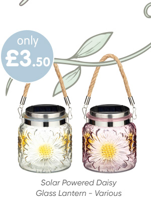 Solar Powered Daisy Glass Lantern - Various