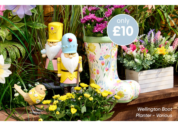 Wellington Boot Planter - Various