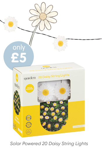 Solar Powered 20 Daisy String Lights