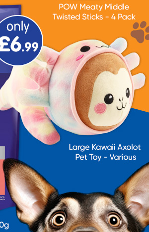 Large Kawaii Axolotl Pet Toy - Various