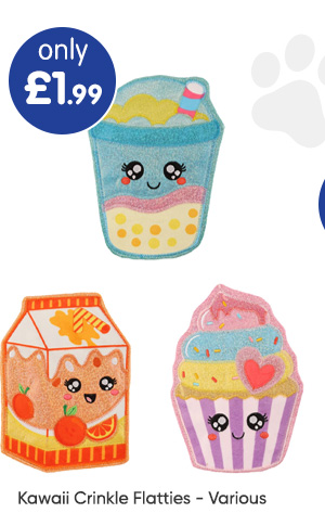 Kawaii Crinkle Flatties - Various