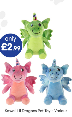 Kawaii Lil Dragons Pet Toy - Various