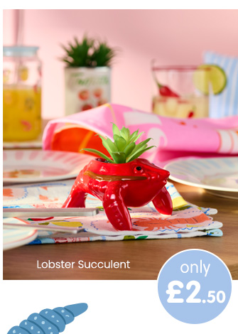 Lobster Succulent
