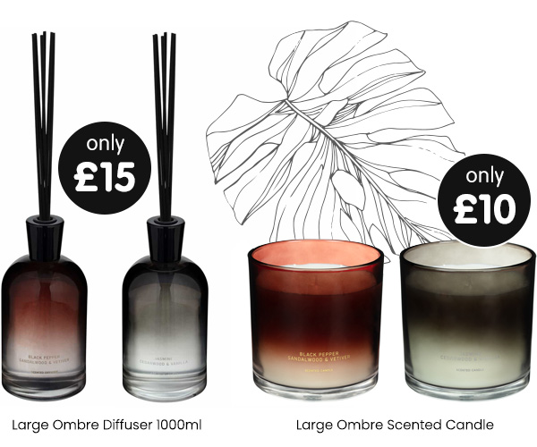 Large Ombre Diffuser/Candle - Various