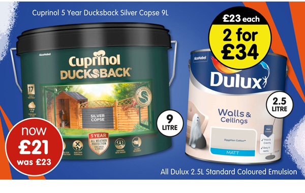 Save on Paint at B&M