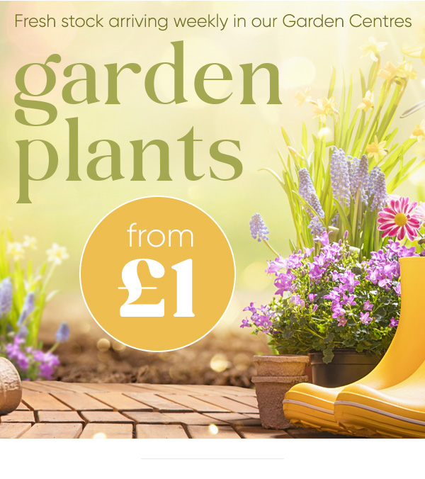 Garden Centre at B&M
