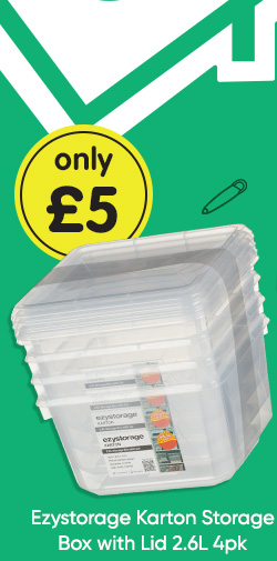 Ezystorage Karton Storage Box with Lid 2.6L 4pk