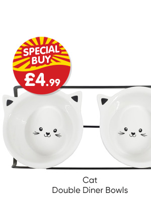 Cat Double Diner Bowls