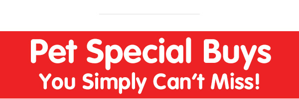 Pets Special Buys at B&M