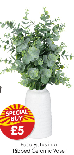 Eucalyptus in a Ribbed Ceramic Vase