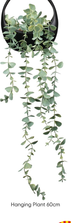 Hanging Plant 60cm