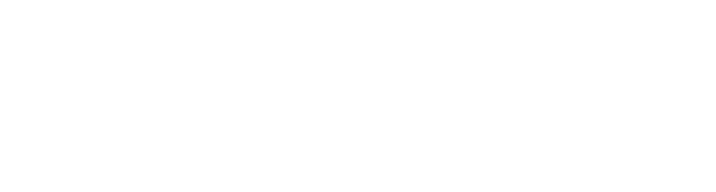 Bog & idé
