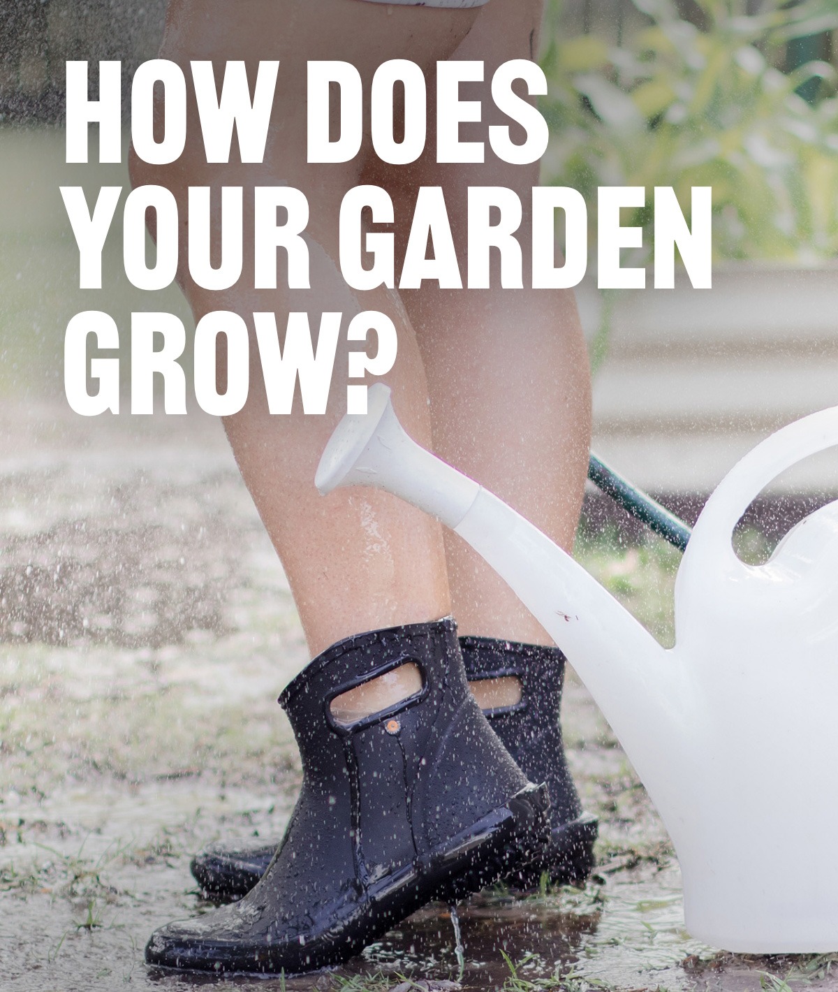 How Does Your Garden Grow?