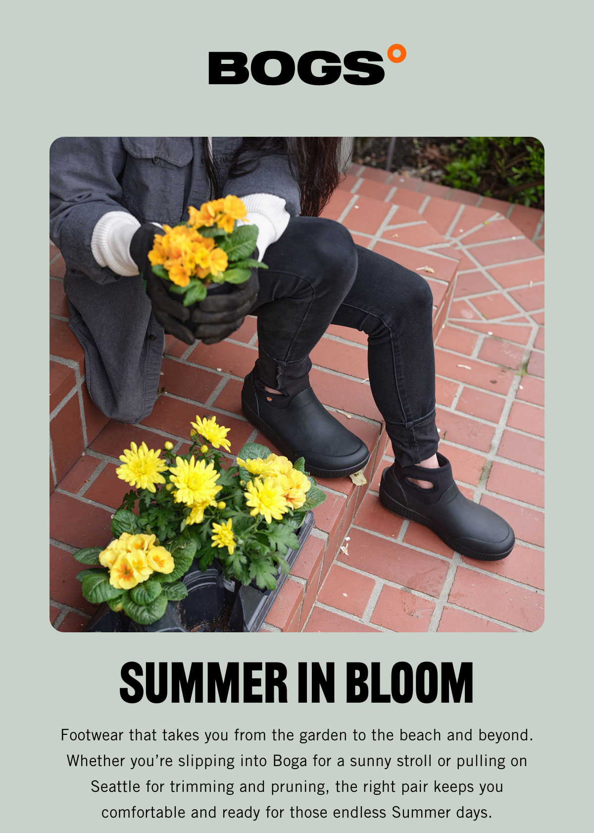 Summer in bloom. Display images to learn more.