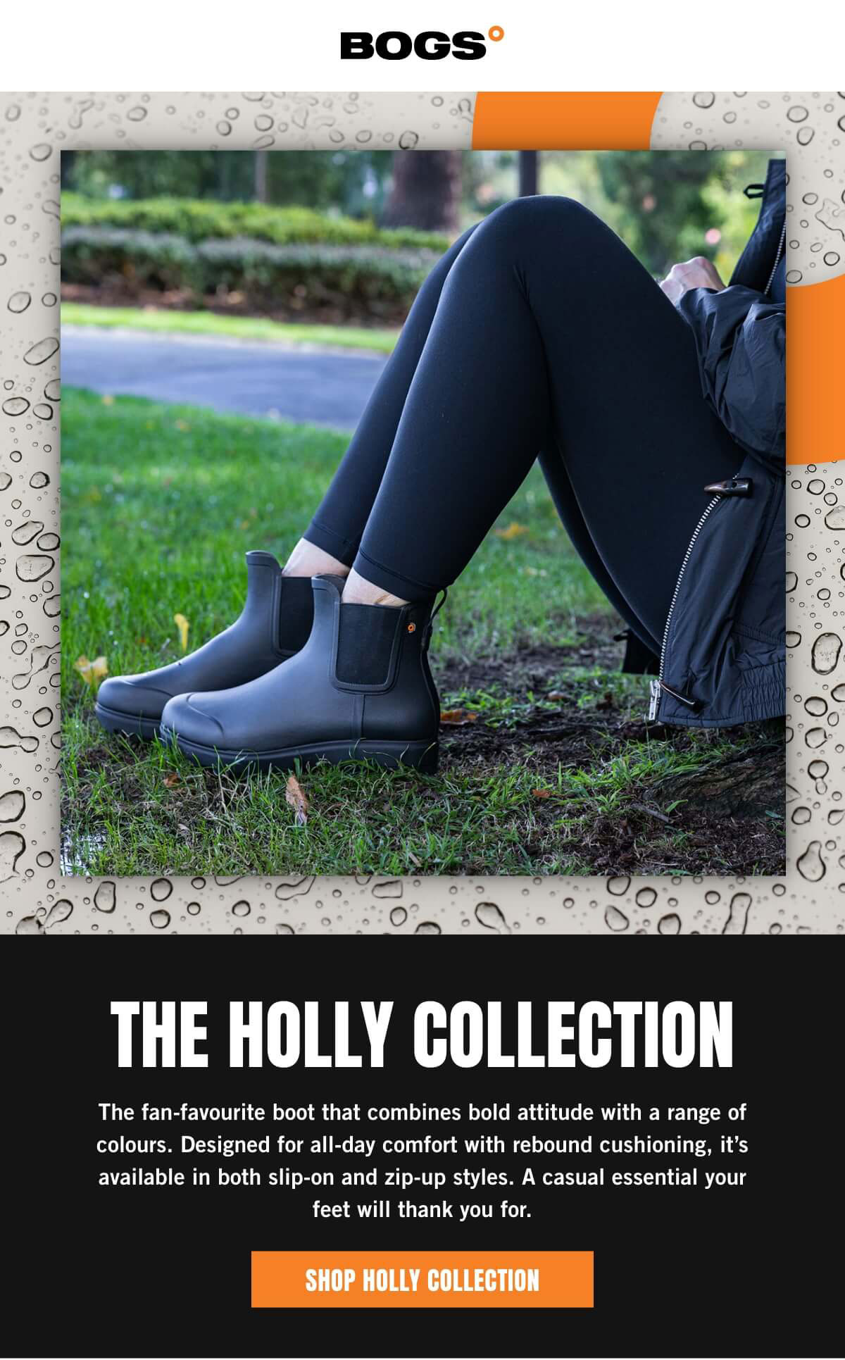 The Holly Collection