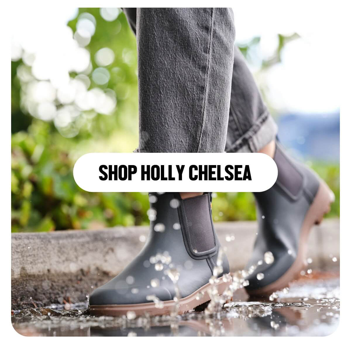 Shop Holly Chelsea