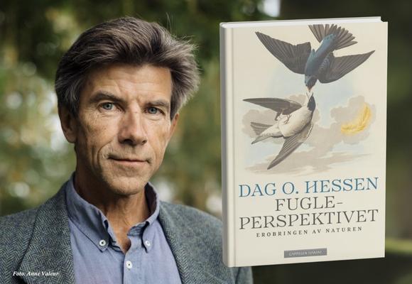 Dag O. Hessen - Fugleperspektivet
