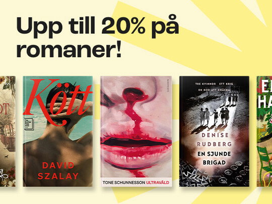 Sommarens romaner