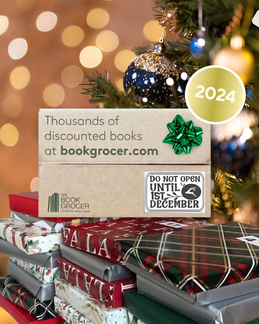 Image of Advent - Fiction Book Box 2024