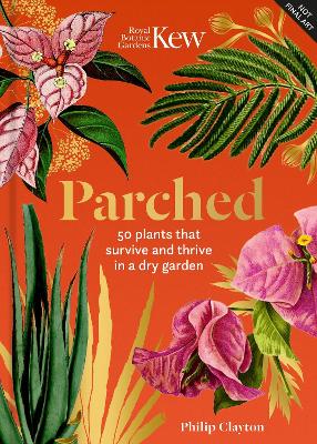 Image of Kew - Parched: 50 plants that thrive and survive in a dry garden