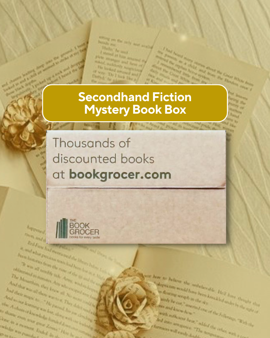 Image of Secondhand Fiction Mystery Book Box (25 Books)