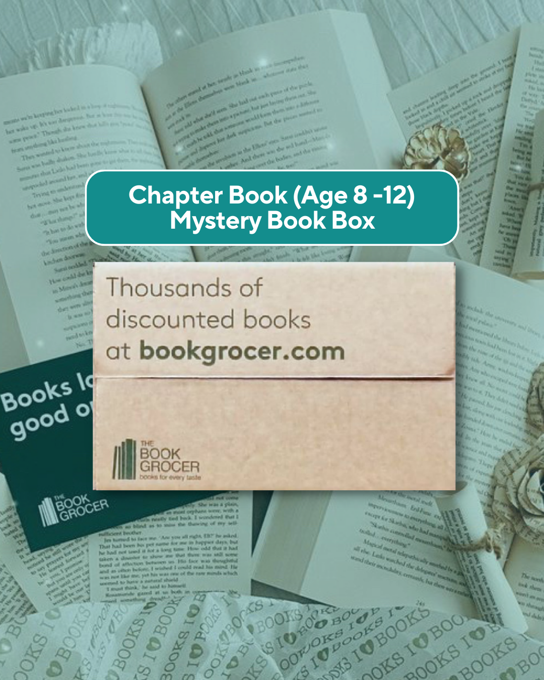 Image of Chapter Book (Age 8-12) Mystery Bargain Book Box