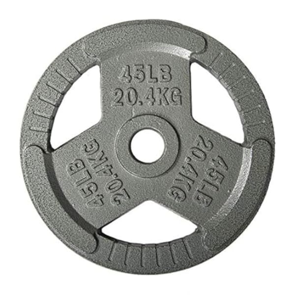 45lb Cast Iron Weight Plate $30