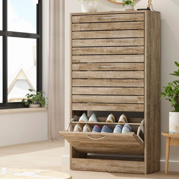 550+ Shoe Storage Solutions under $100
