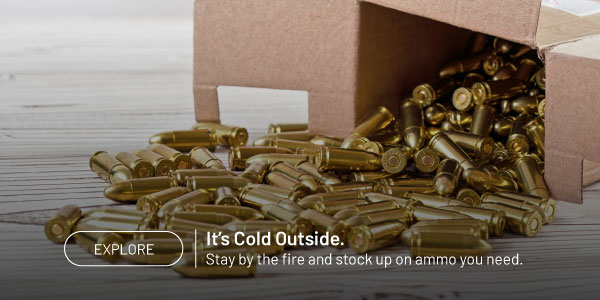 Explore. It's cold outside. Stay by the fire and stock up on ammo you need.