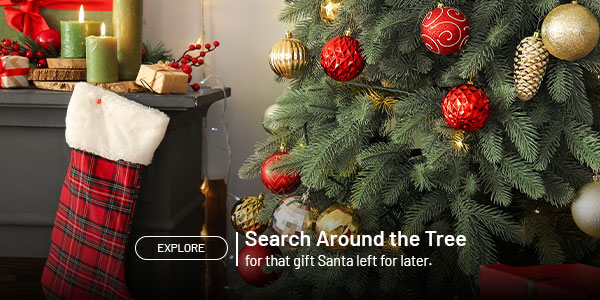 Search around the tree for that gift Santa left for later. Explore.