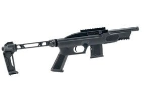 Rossi RS22 .22 LR Pistol with Brace