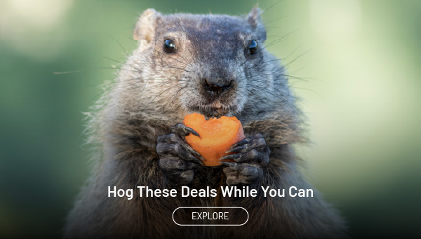 Hog these deals while you can. Explore.