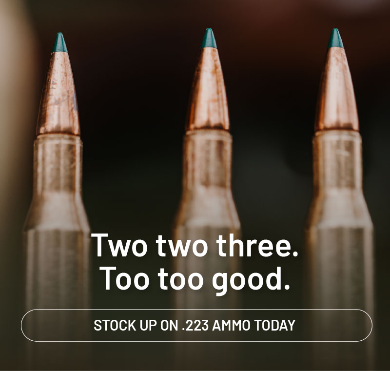 two two three. Too too good. Stock up on .223 ammo today.
