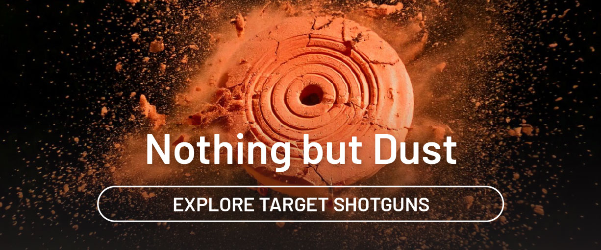 Nothing but dust. Explore target shotguns.