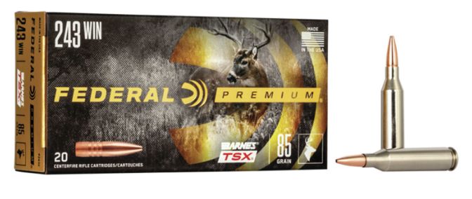 Federal Premium .243 85gr