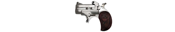 Bond Arms Mini 357/38 2.5" Stainless Steel Rosewood Grips 2 Rounds
