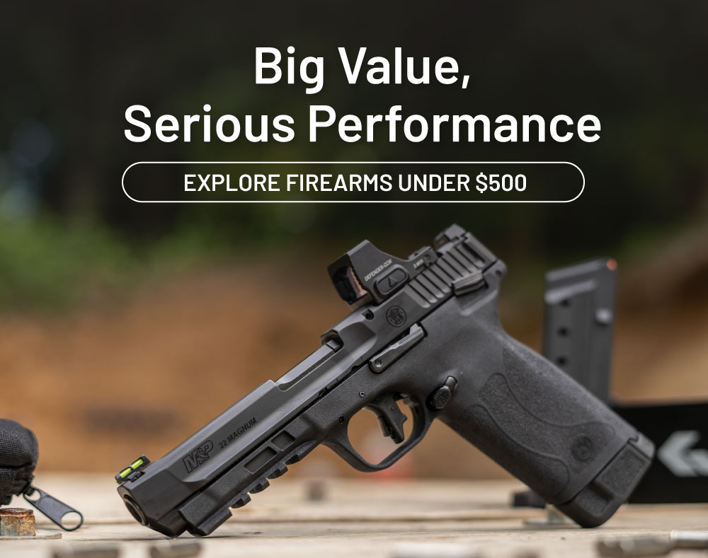 Big value, serious performance. Explore firearms under $500
