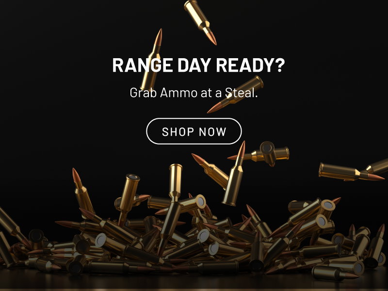 Range day ready? Grab ammo at a steal. Shop now.