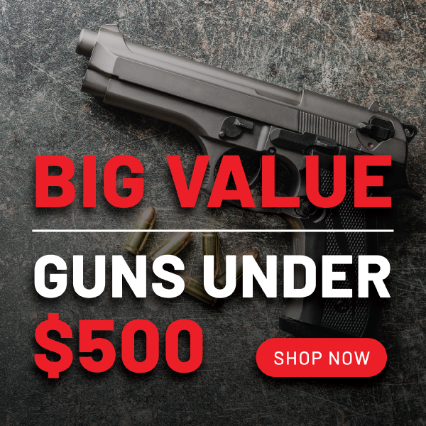 Big value. Guns under $500. Shop now.