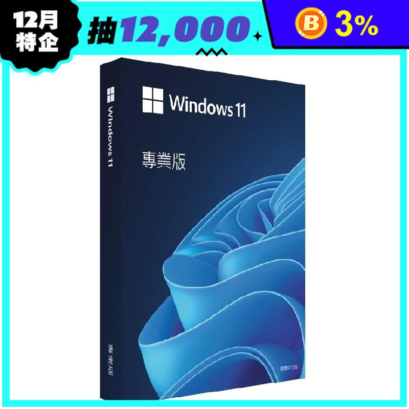 Windows 11 專業中文版