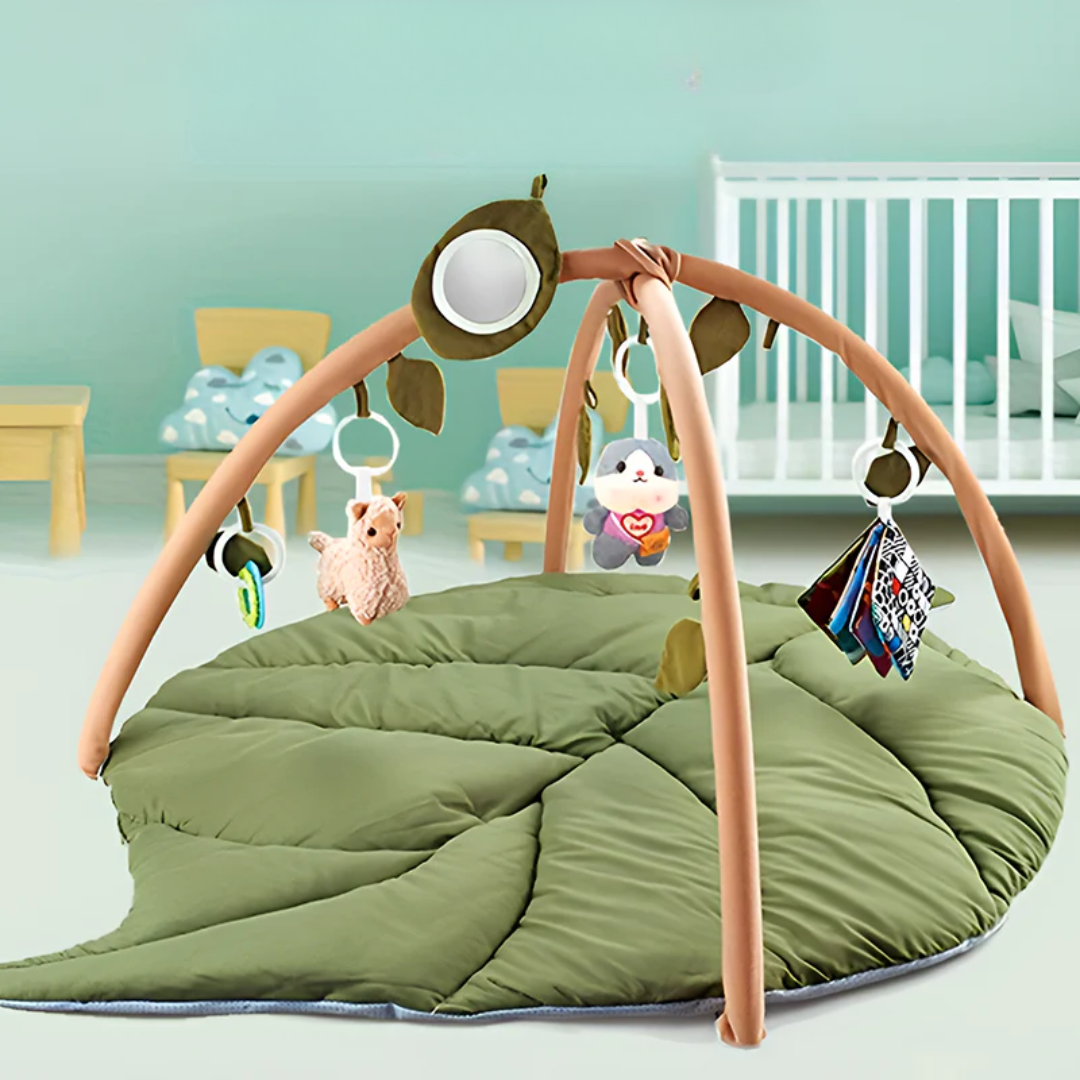 Baby Play Gym