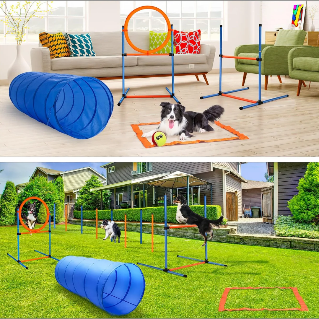 Dog Agility Equipment