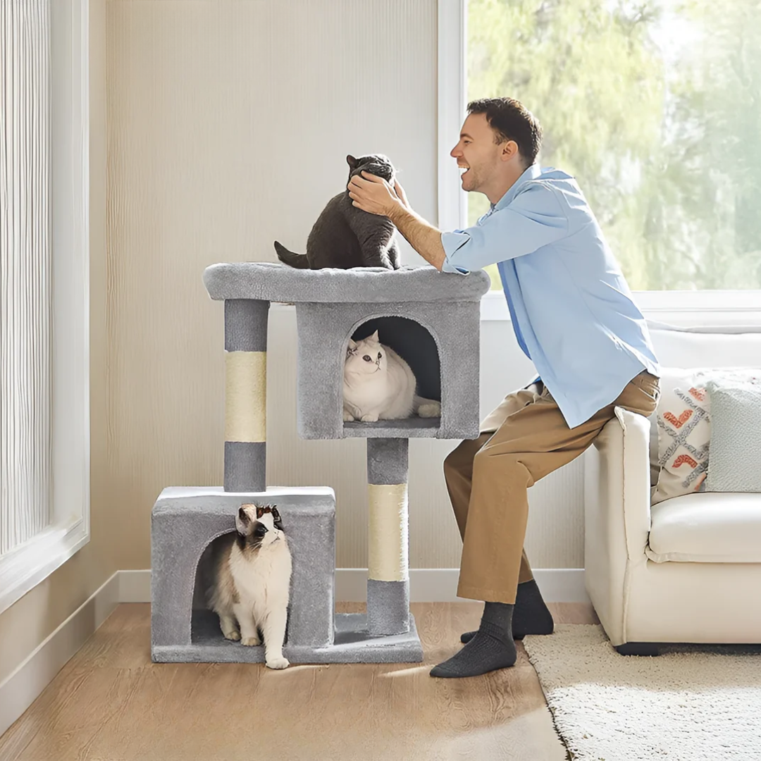 Cat Tree House with Scratching Posts