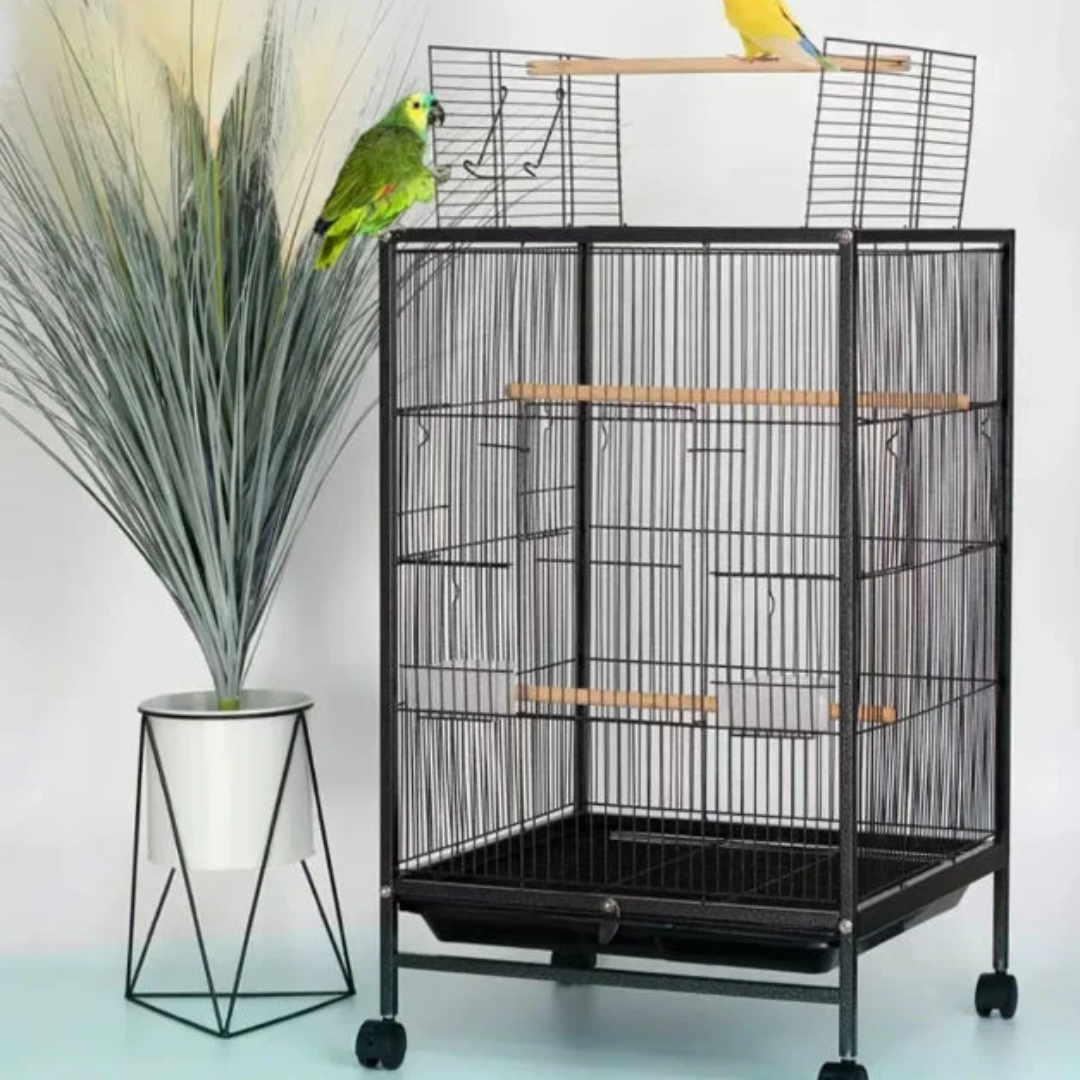 Bird Cage Parrot Aviary Perch Carrier
