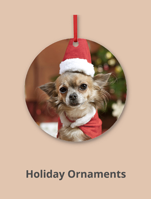 Shop Ornaments