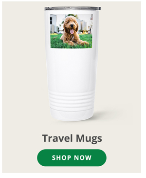 Travel Mugs