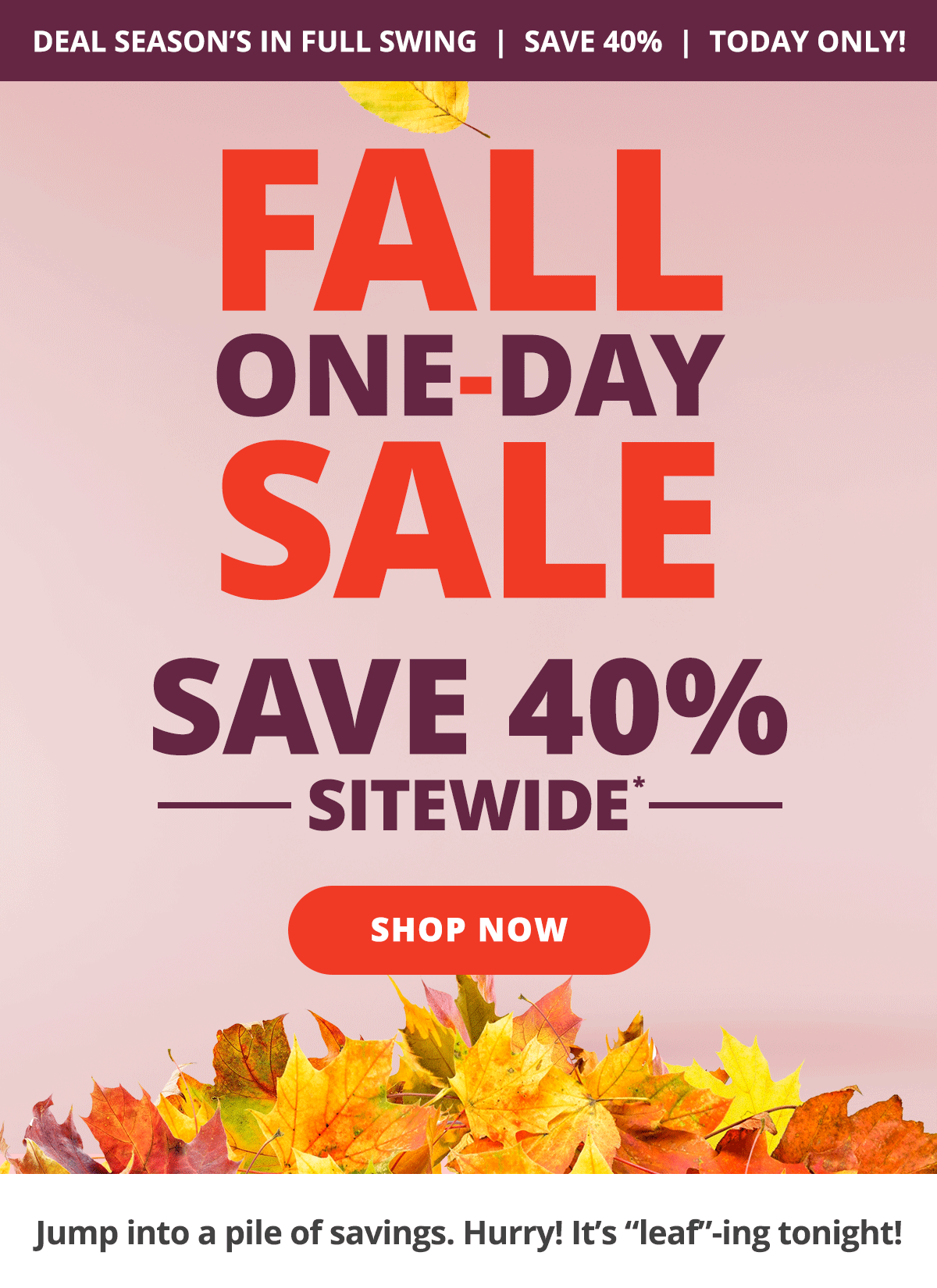 Fall One-Day Sale - Save 40% Sitewide